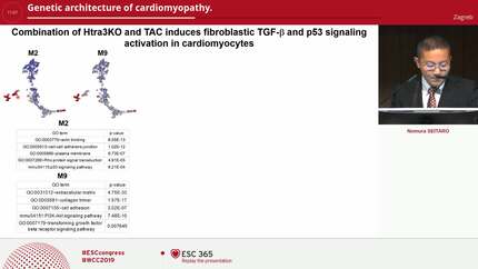 Genetic architecture of cardiomyopathy.