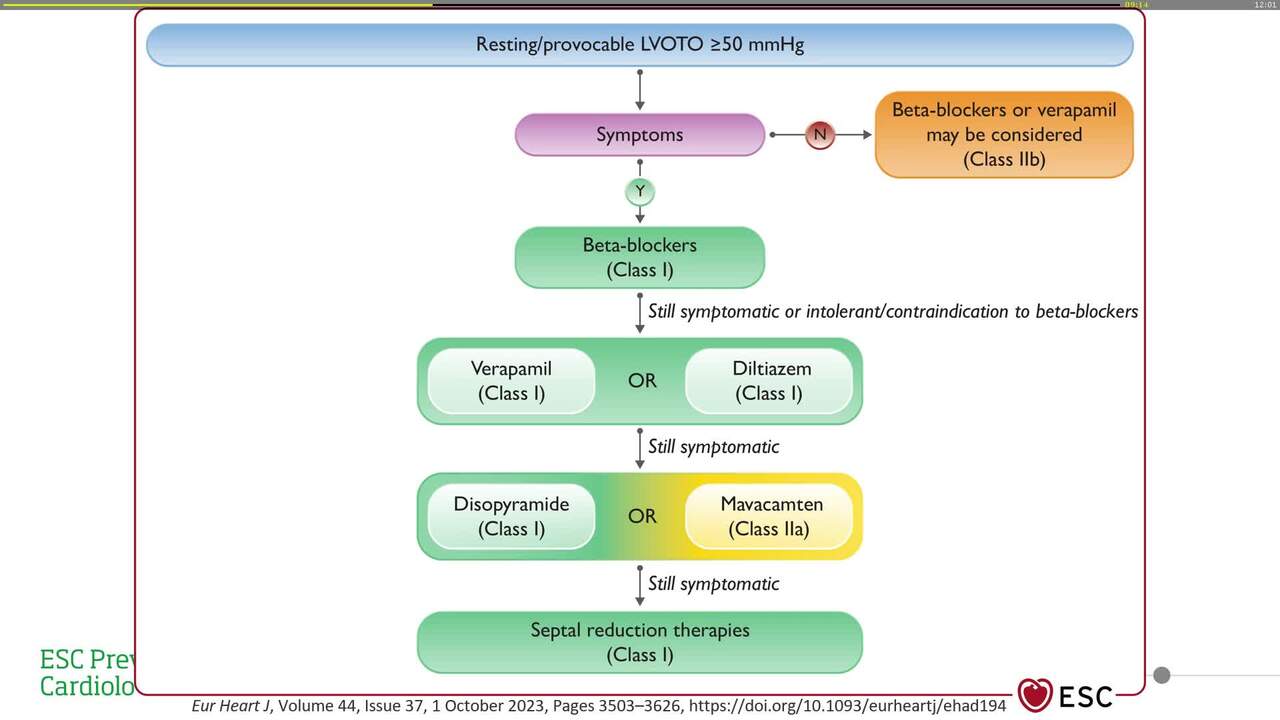 Hypertrophic cardiomyopathy interventions: myectomy or alcohol septal ablation?