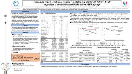 Presentation thumbnail