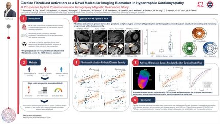 Cardiac fibroblast activation as a novel molecular imaging biomarker in hypertrophic cardiomyopathy: a prospective positron emission tomography study