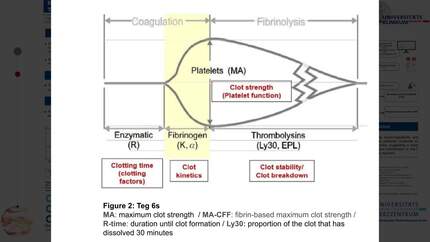 Presentation thumbnail