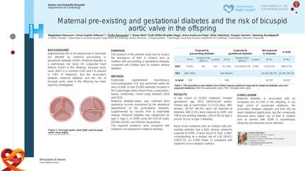 Maternal pre-existing and gestational diabetes and the risk of bicuspid aortic valve in the offspring.