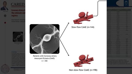 Slow flow phenomenon in coronary artery aneurysm or ectasia. Analysis from the CARED-POL Registry.
