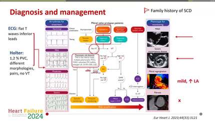 Presentation thumbnail