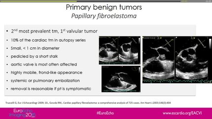 Presentation thumbnail