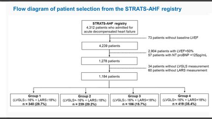 Prediction of clinical outcomes based on phenotypic grouping using dual-chamber strains in patients with HFpEF