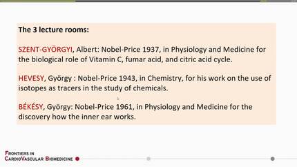 Presentation thumbnail