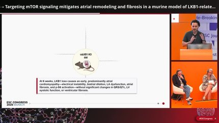 Presentation thumbnail