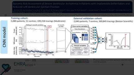 Dynamic risk assessment of severe ventricular arrhythmia in patients with implantable defibrillators and reduced left ventricular ejection fraction