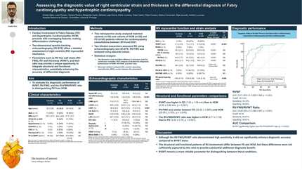 Assessing the diagnostic value of right ventricular strain and thickness in the differential diagnosis of Fabry cardiomyopathy and hypertrophic cardiomyopathy