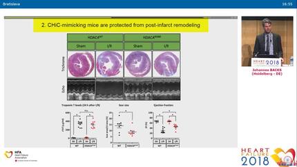 Presentation thumbnail