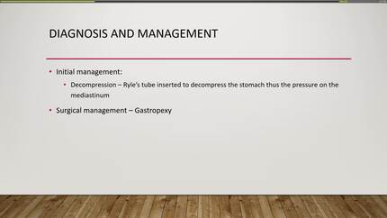 Presentation thumbnail