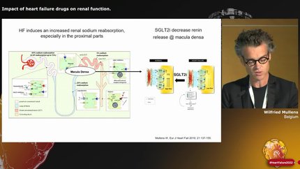 Worsening renal function in heart failure: clinical implications for practice