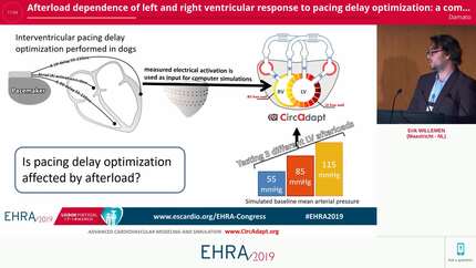 Afterload dependence of left and right ventricular response to pacing delay optimization: a combined experimental-computational study