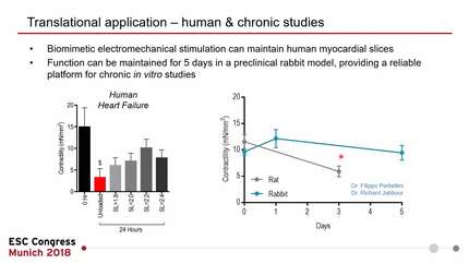 A novel platform to maintain adult cardiac tissue in vitro: myocardial slices and electromechanical stimulation with physiological preload