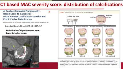Presentation thumbnail
