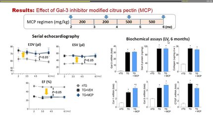 Galectin-3 and dilated cardiomyopathy: distinct effect of pharmacological and genetic interventions