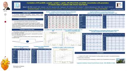 Presentation thumbnail