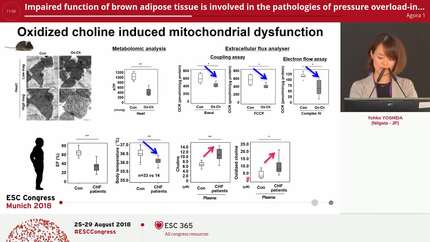 Impaired function of brown adipose tissue is involved in the pathologies of pressure overload-induced heart failure
