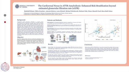 The Cardiorenal Nexus in ATTR-Amyloidosis: Enhanced Risk Stratification beyond estimated glomerular filtration rate (eGFR)
