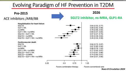 Biomarker-guided approach for heart failure prevention in patients with diabetes