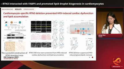 Presentation thumbnail