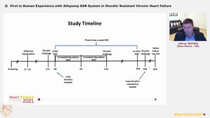 First in Human Experience with Alfapump DSR System in Diuretic Resistant Chronic Heart Failure