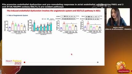 FXa promotes endothelial dysfunction and pro-remodeling responses in atrial endothelial cells involving PAR1 and 2 and AT1R/NADPH oxidase/SGLT1/2 pro-oxidant pathways 