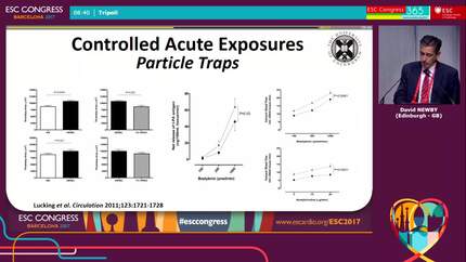 Presentation thumbnail