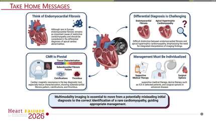 Uncommon cardiomyopathies in clinical practice