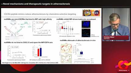 Presentation thumbnail