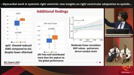 Myocardial work in systemic right ventricle: new insights on right ventricular adaptation to systolic flow