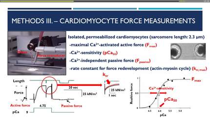 Presentation thumbnail