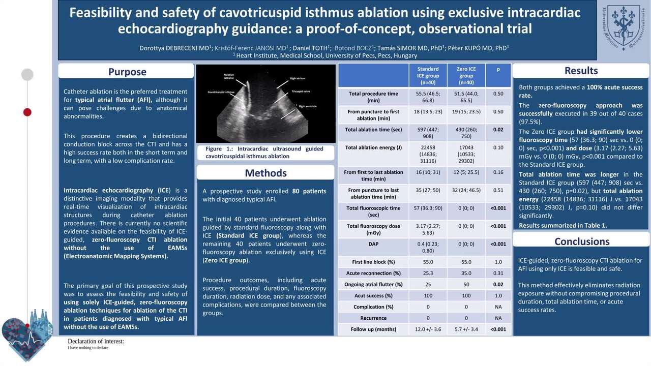 Feasibility and safety of cavotricuspid isthmus ablation using exclusive intracardiac echocardiography guidance: a proof-of-concept, observational trial
