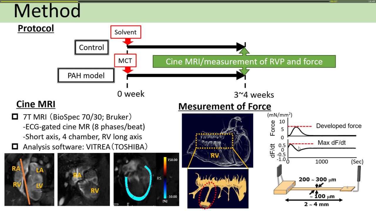 Right ventricular longitudinal strain with CMR is useful to estimate its contractile properties in rats with pulmonary arterial hypertension