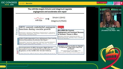 Presentation thumbnail