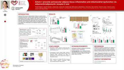 Presentation thumbnail