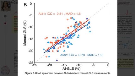 Head-to-head comparison of AI-based global longitudinal strain measurement - are we ready for this next step?