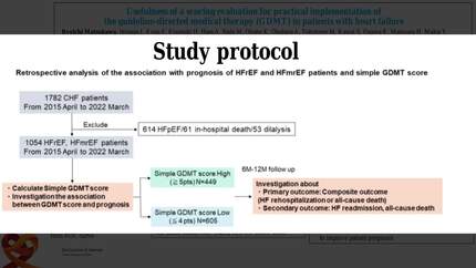Usefulness of a scoring evaluation for practical introduction of the guideline-directed medical therapy (GDMT) in heart failure patients