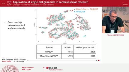 Cohesin complex requirement in cardiac progenitors.