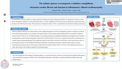 The sodium–glucose co-transporter 2 inhibitor canagliflozin, attenuates cardiac fibrosis and function in inflammatory dilated cardiomyopathy
