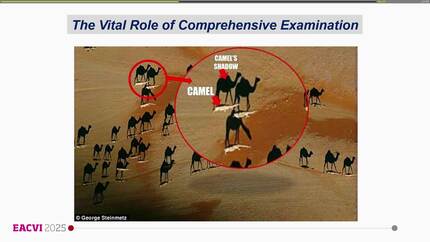 Presentation thumbnail