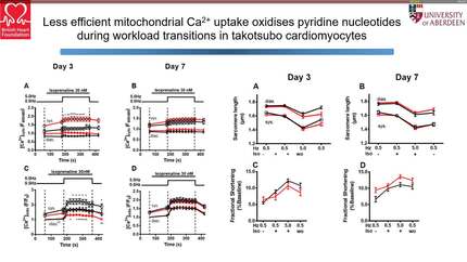 Novel aspects of metabolism in cardiovascular disease