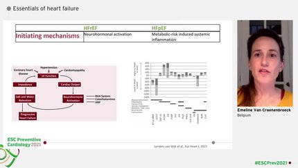 Presentation thumbnail