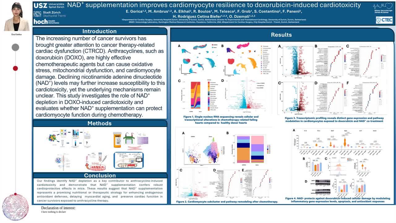 NAD⁺ supplementation improves cardiomyocyte resilience to doxorubicin-induced cardiotoxicity