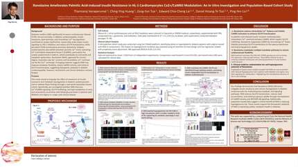 Ranolazine ameliorates palmitic acid-induced insulin resistance in HL-1 cardiomyocytes by Ca2+/ CaMKII modulation: an in vitro investigation and population-based cohort study