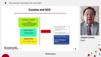Presentation thumbnail