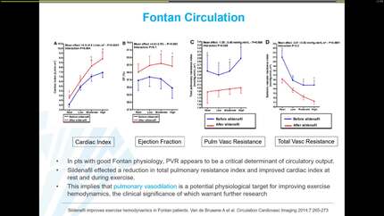 Presentation thumbnail