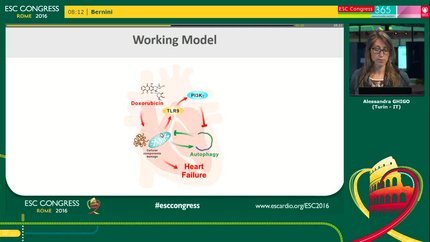 Presentation thumbnail