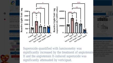 Effects of vericiguat on redox signaling in cardiomyocyte